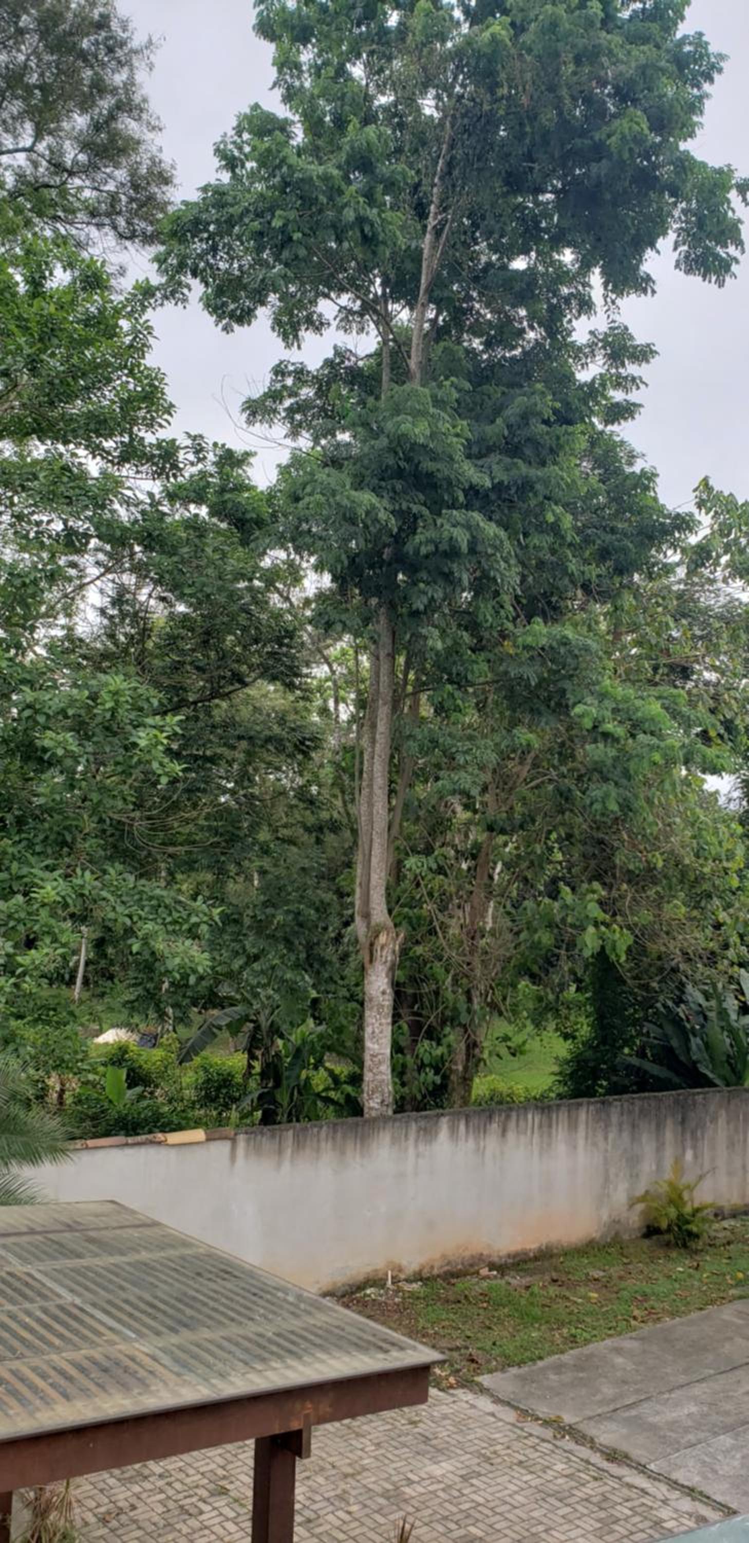 A Paraty - Casa dos sonhos