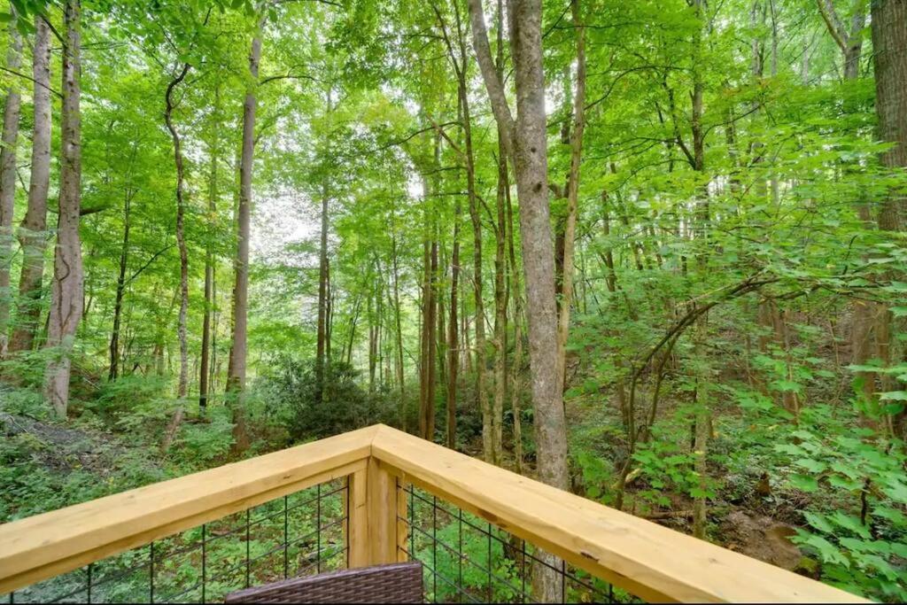Cozy Mountain Cabin with Fireplace, Creekside Views, Outdoor Fire Pit in Hot Springs view 3