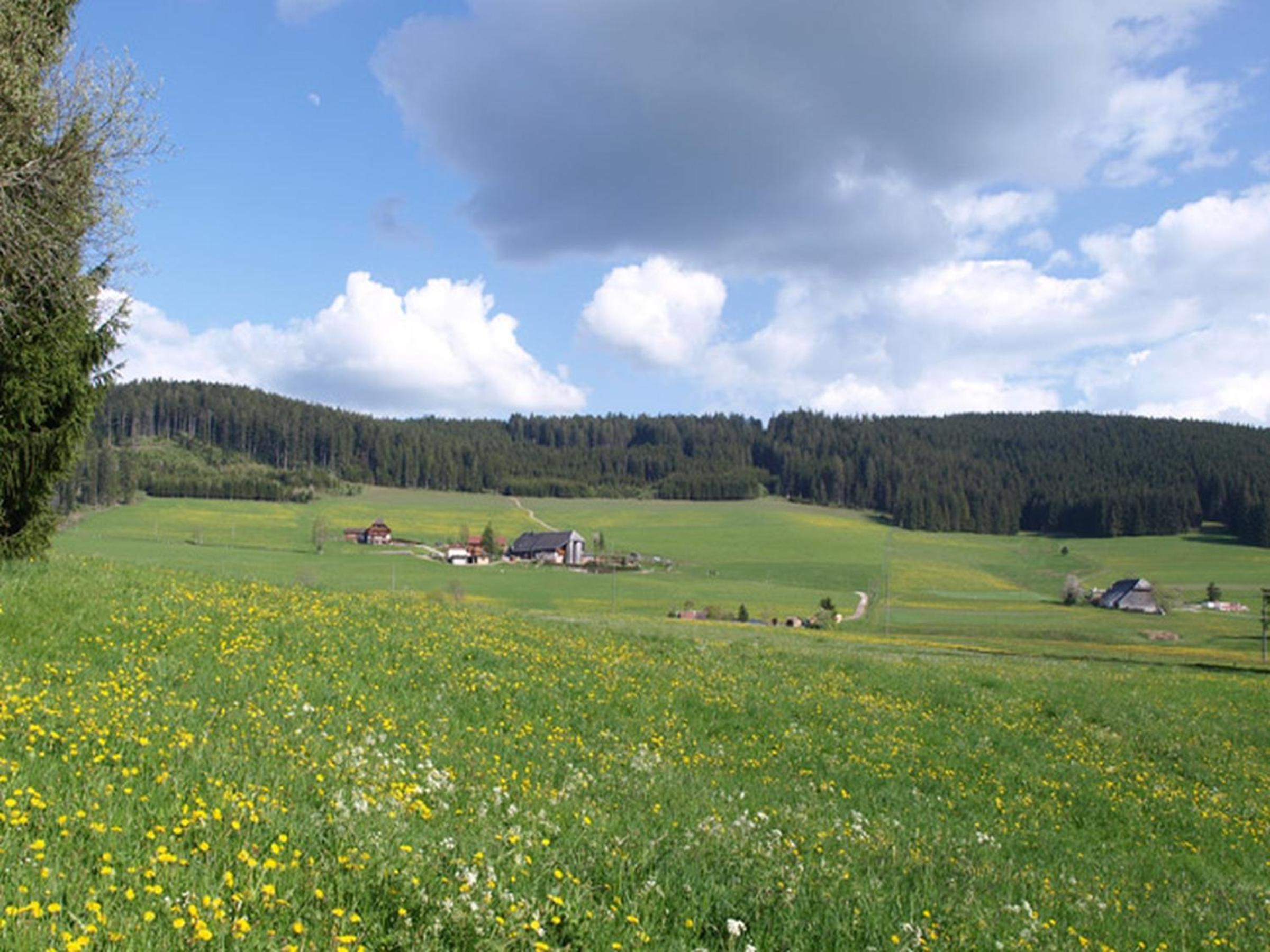 Bio-Kinderbauernhof Wilmershof