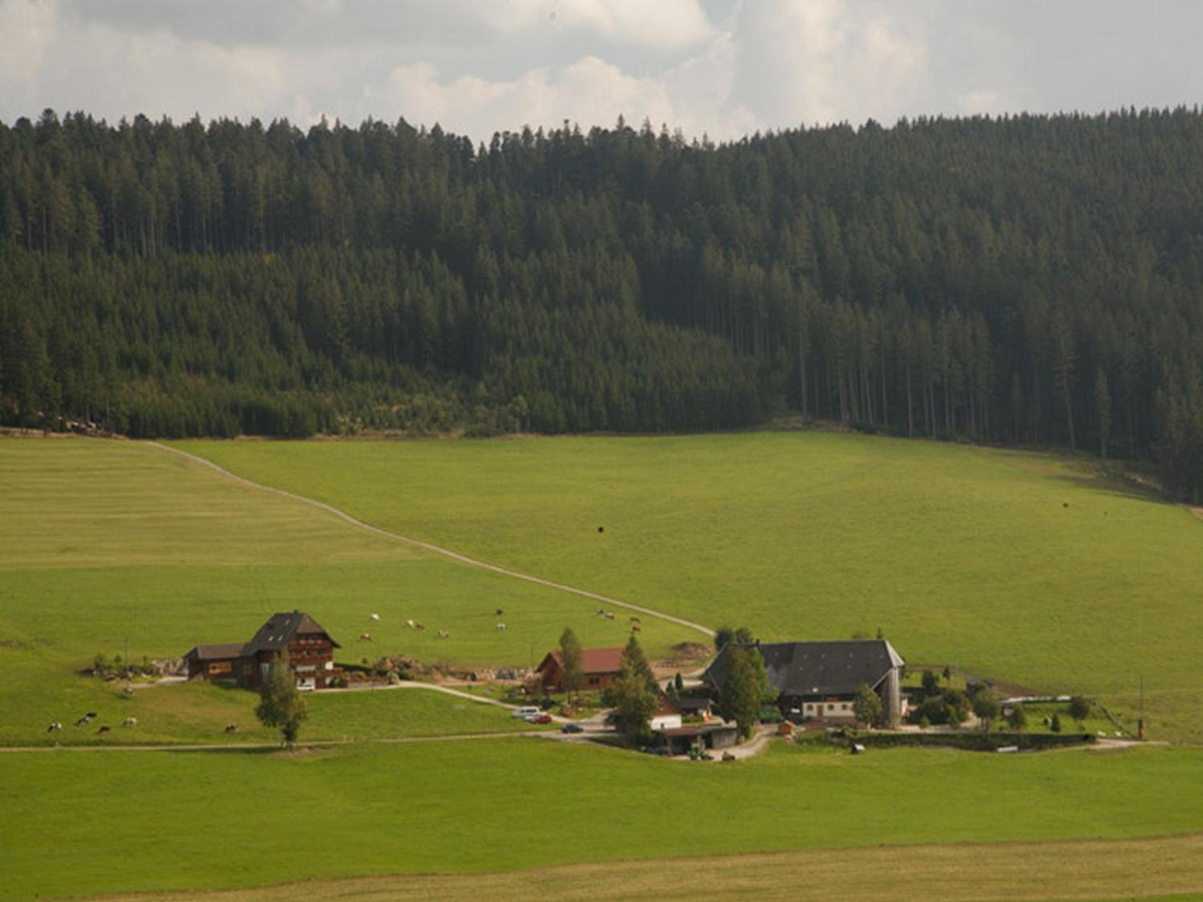 Bio-Kinderbauernhof Wilmershof