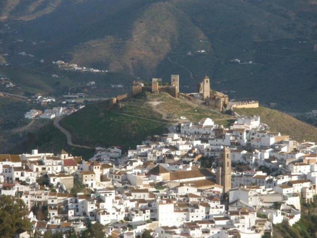 Photo 44