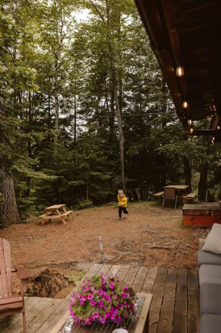 Waterfront private cottage on Koshlong Lake