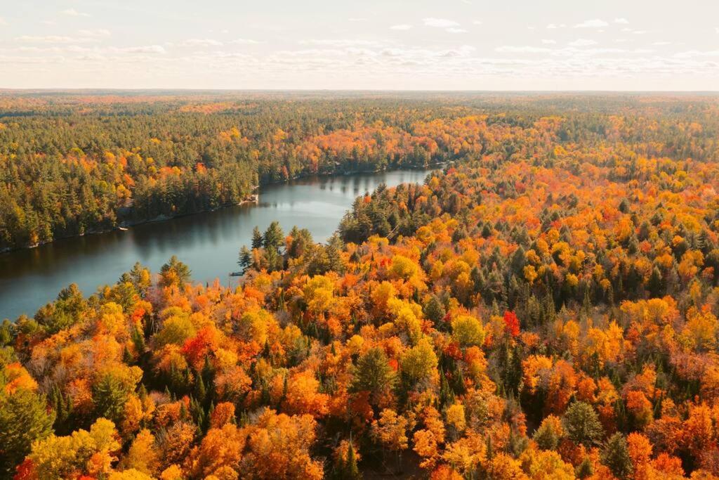 Waterfront private cottage on Koshlong Lake