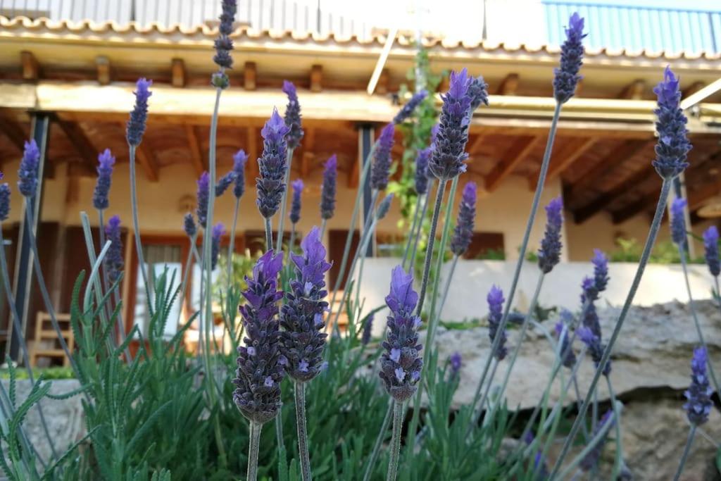 Finca rural s'Estepa