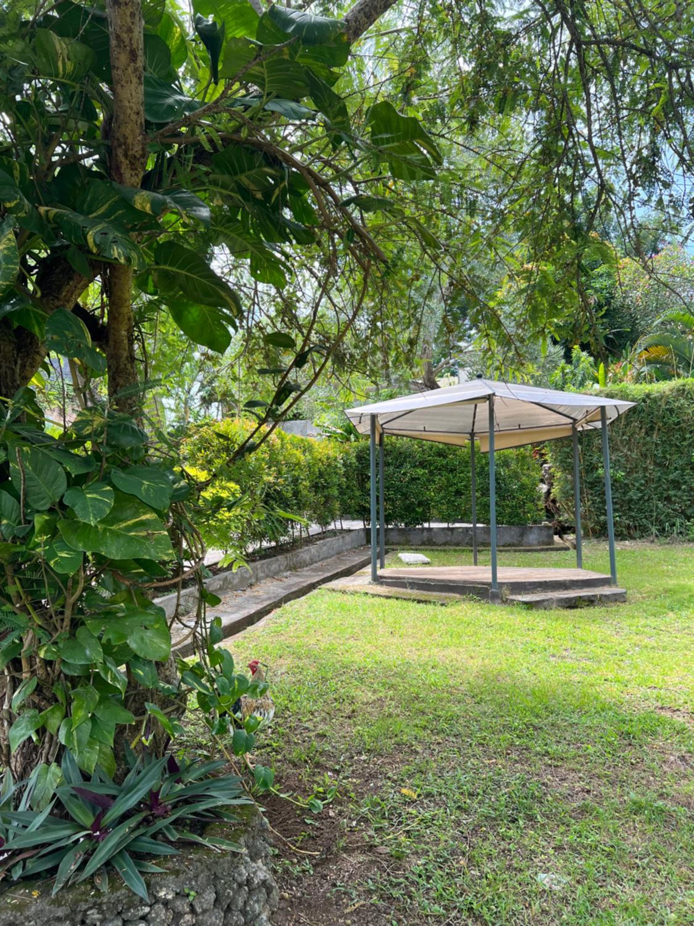 New W Guest House view 3