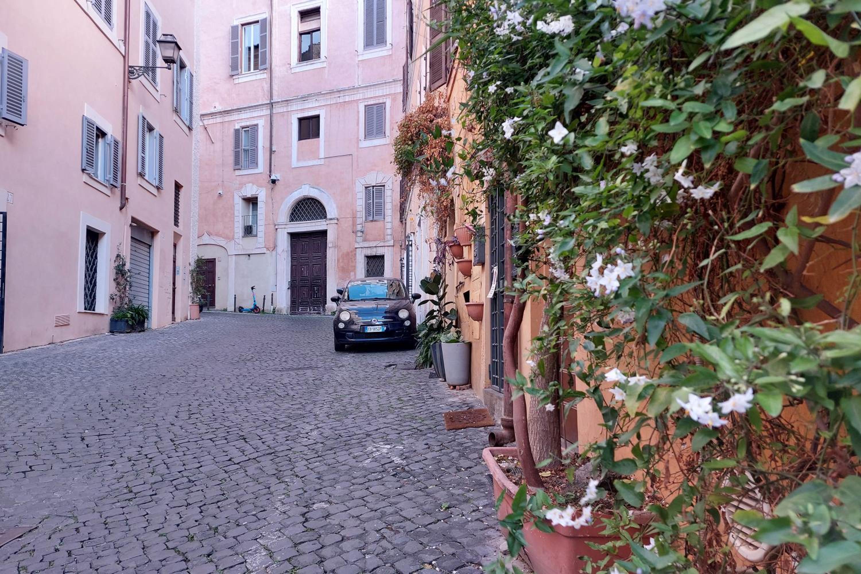 Cimarra Apartment