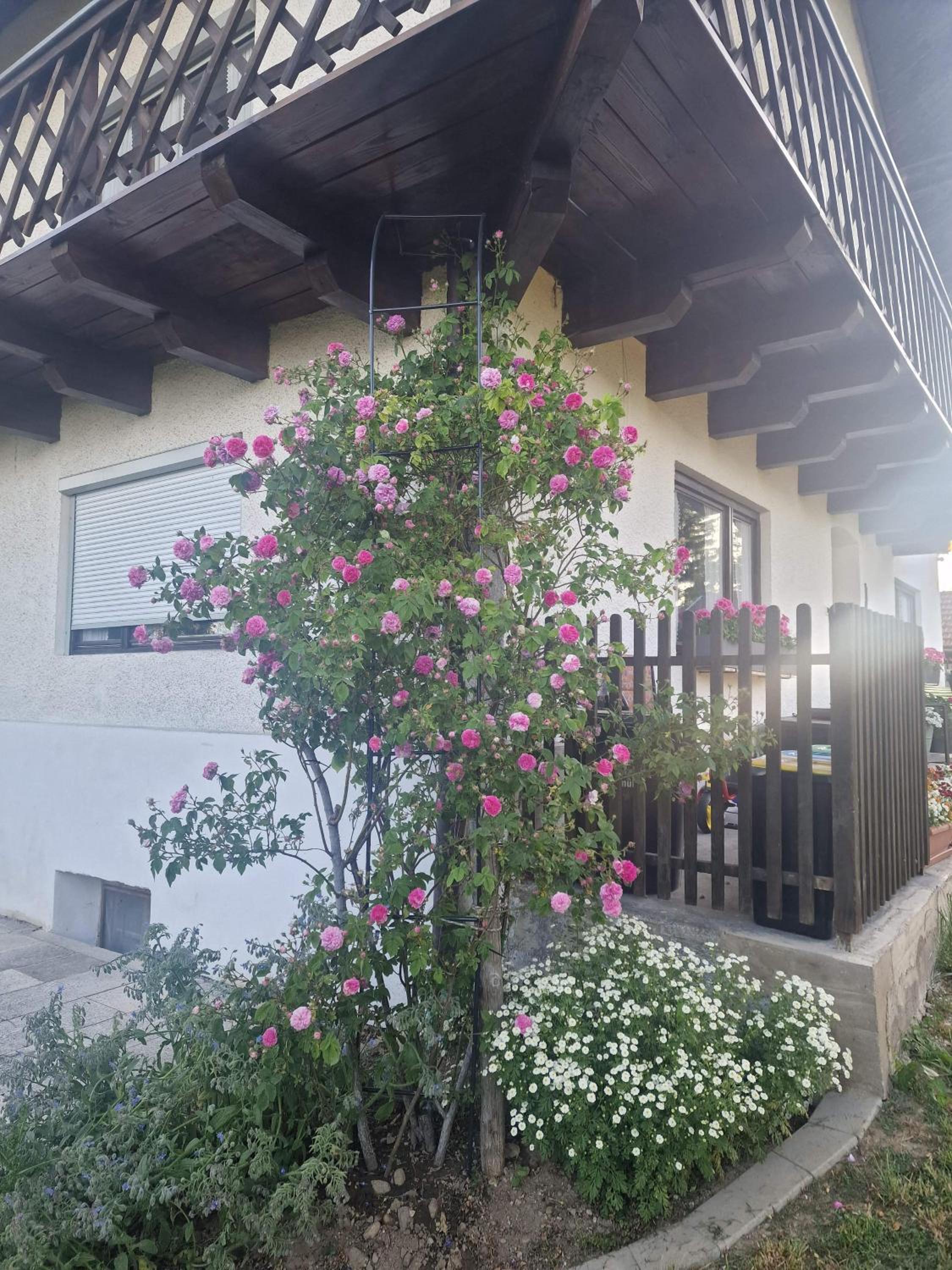 Ferienhaus Josefine view 5