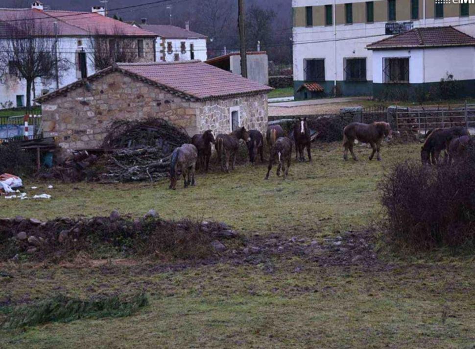 El Valle Hotel Rural