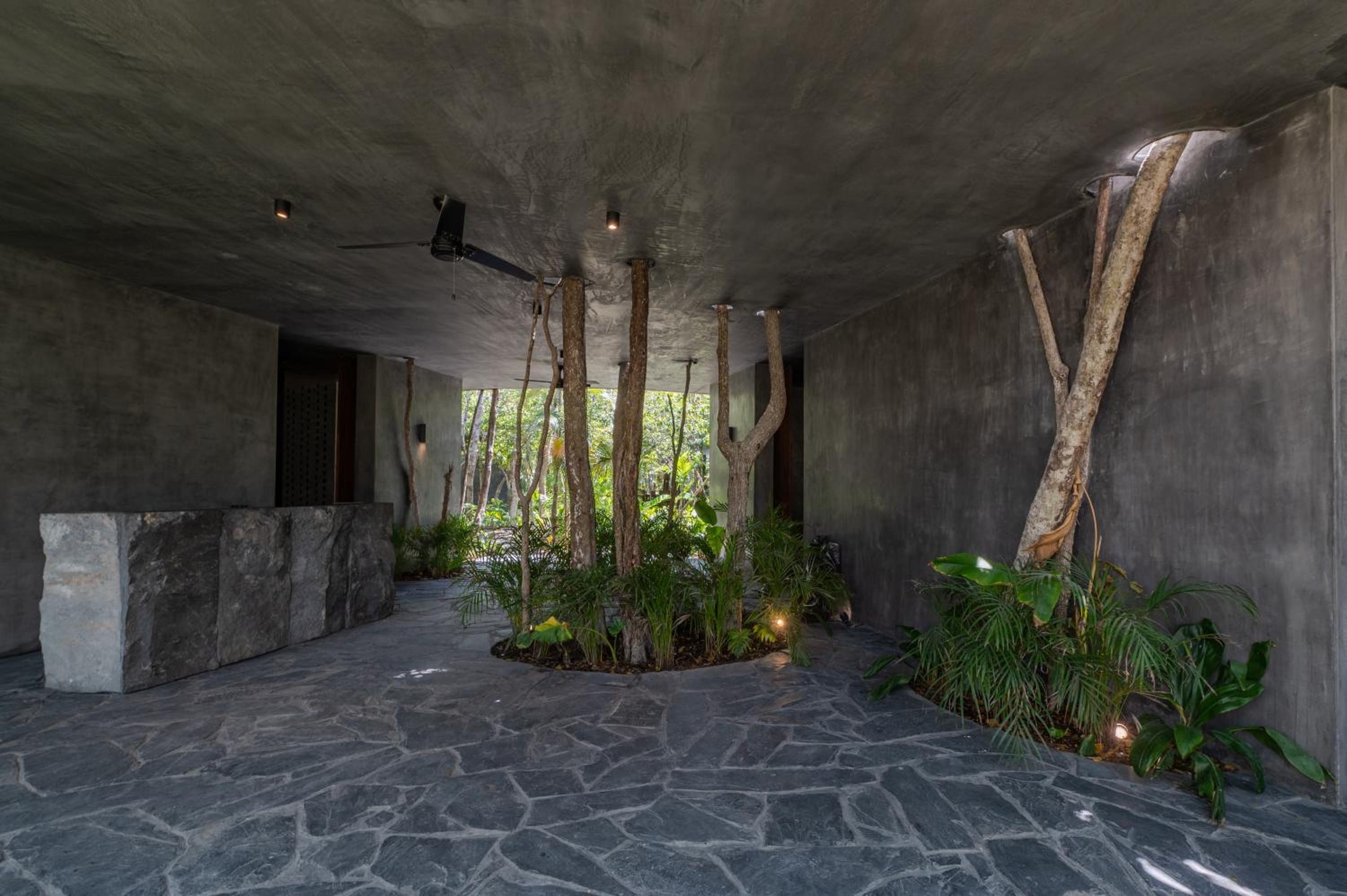 recepcion & lobby