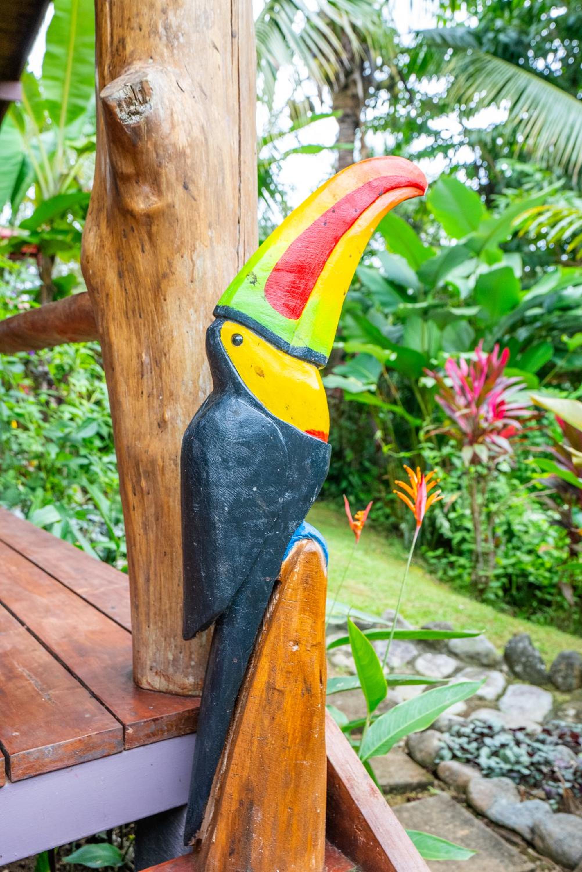Toucan Villa -riverfront With Pool & Near A Beach