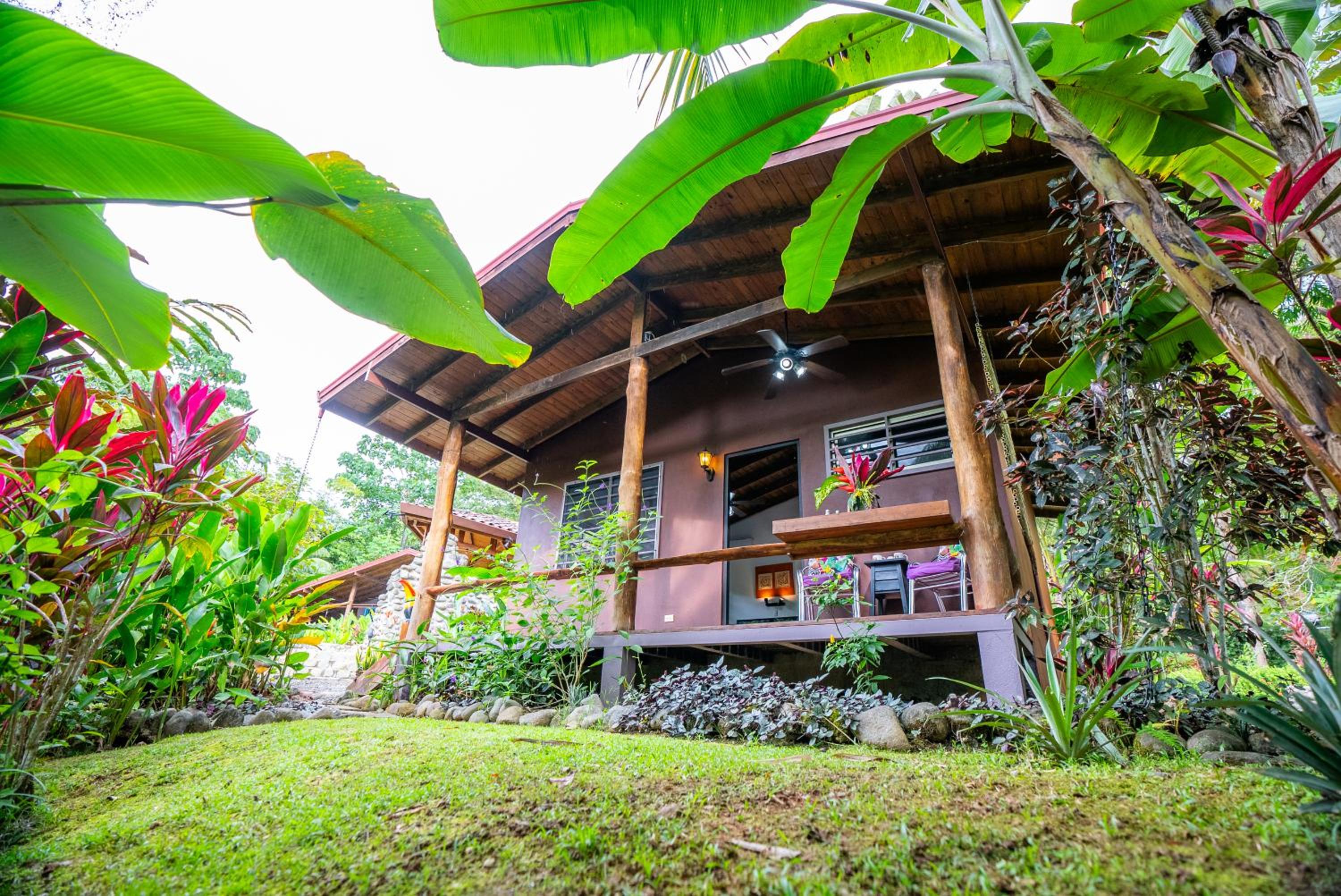Toucan Villa -riverfront With Pool & Near A Beach