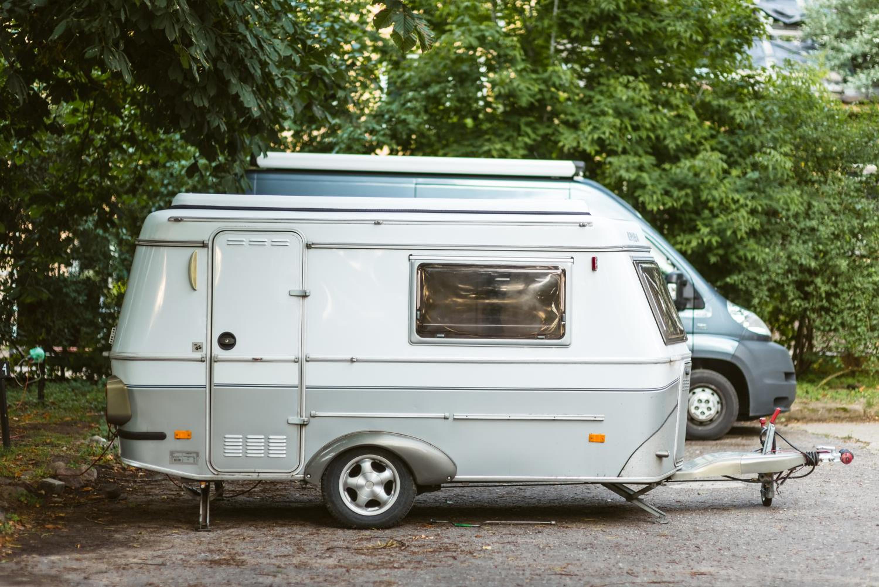 Downtown Forest Hostel & Camping