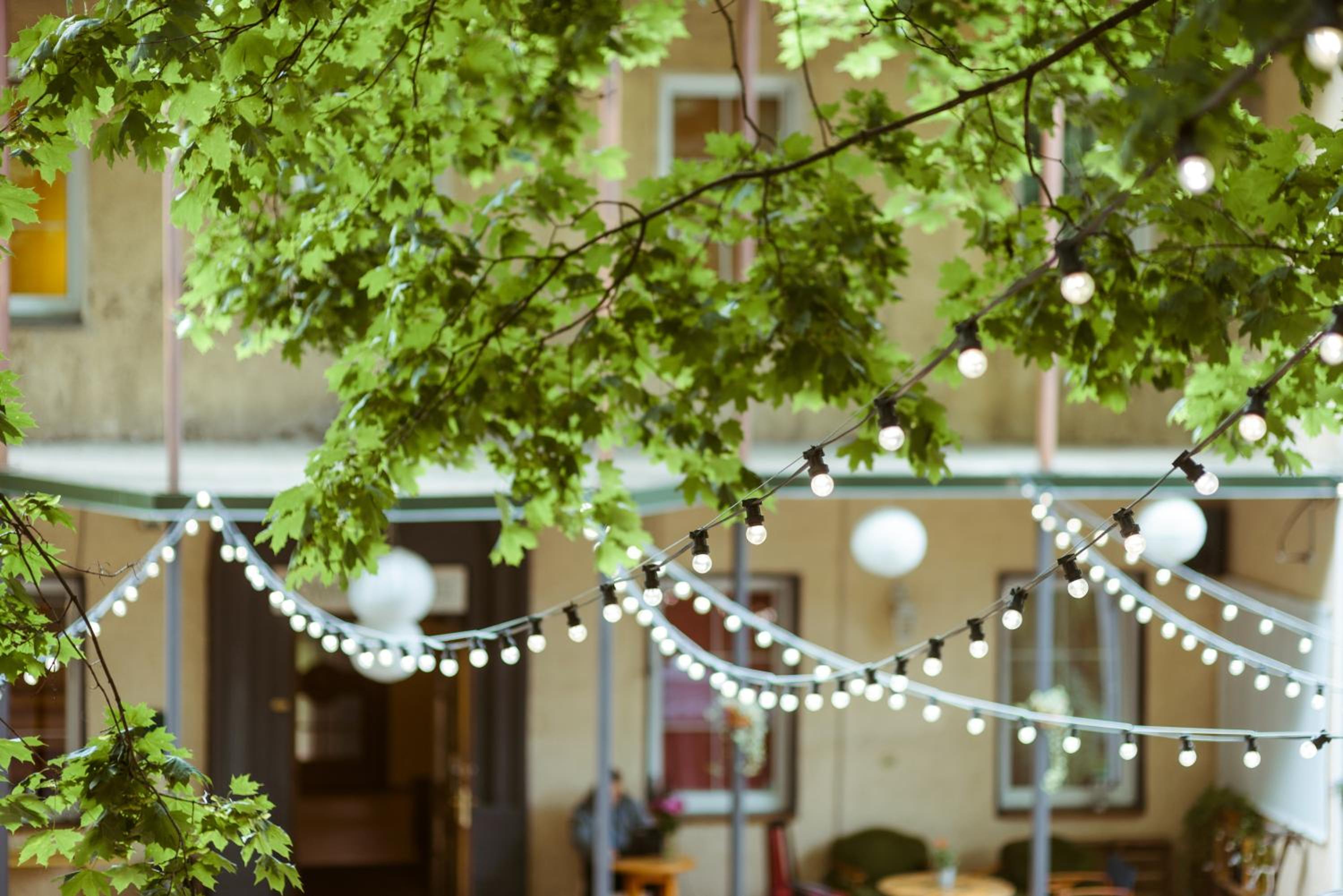 Downtown Forest Hostel & Camping
