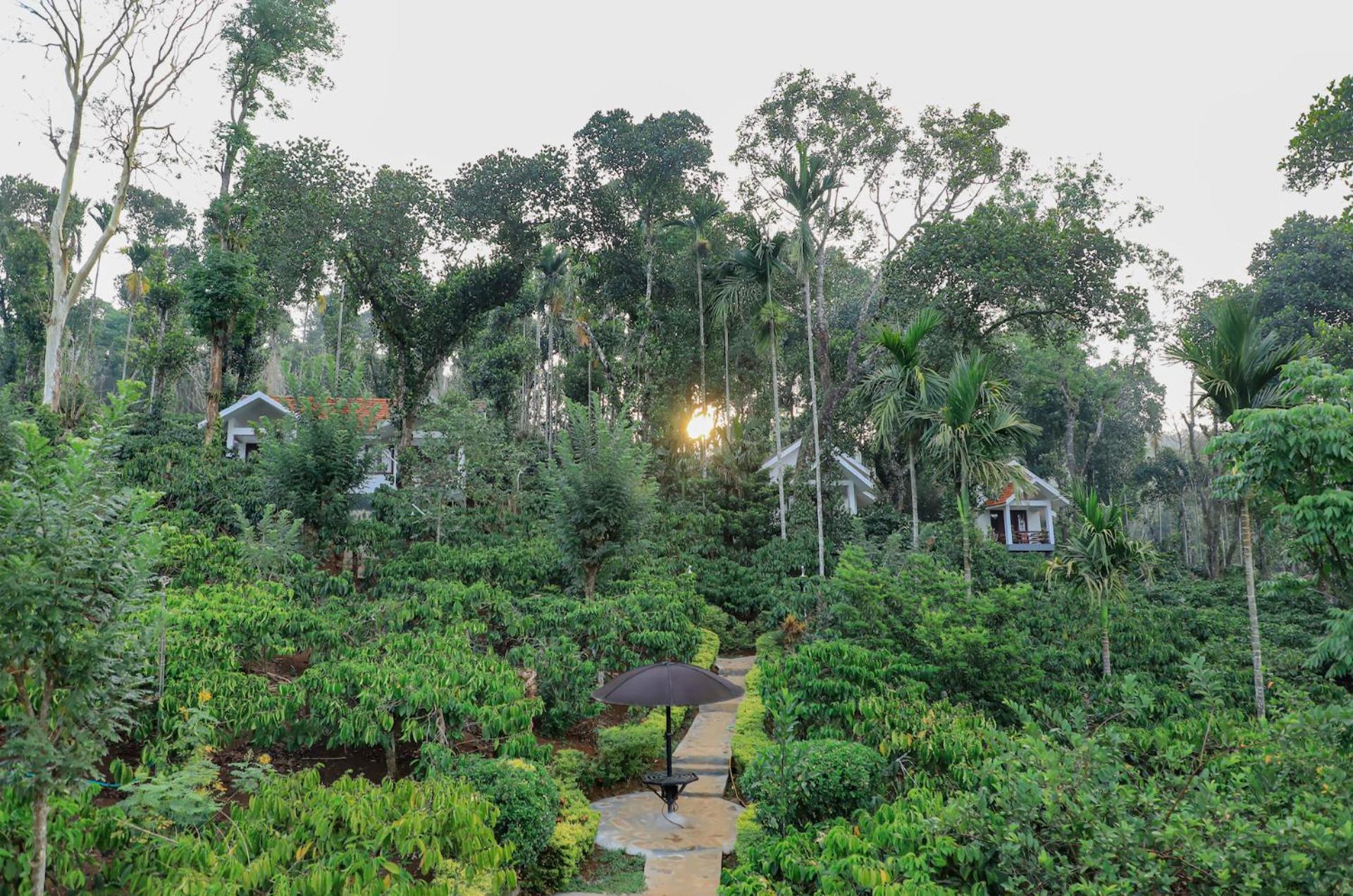 Dhanagiri Homestay Wayanad view 2