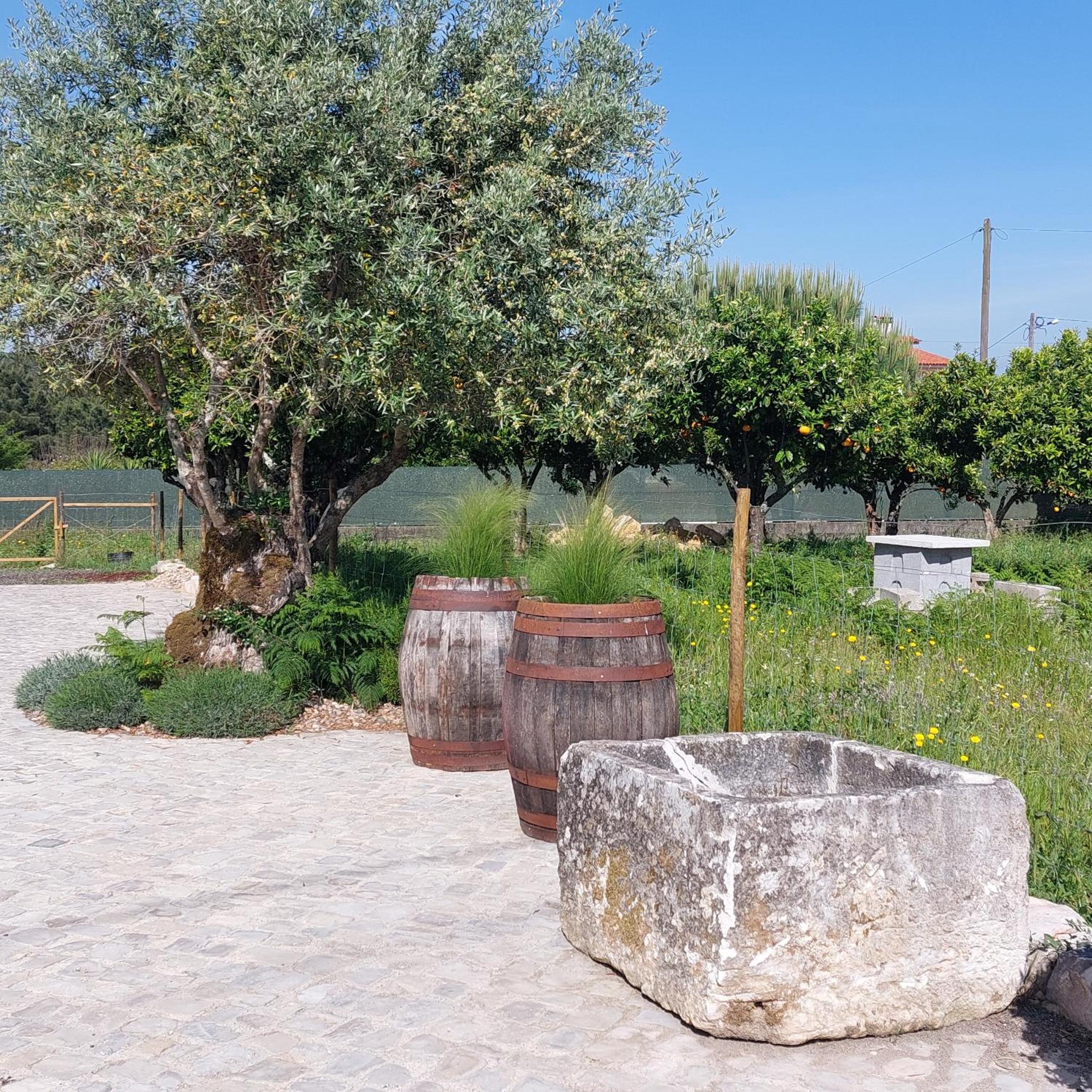 Adega D'Aldeia com piscina e jacuzzi view 3