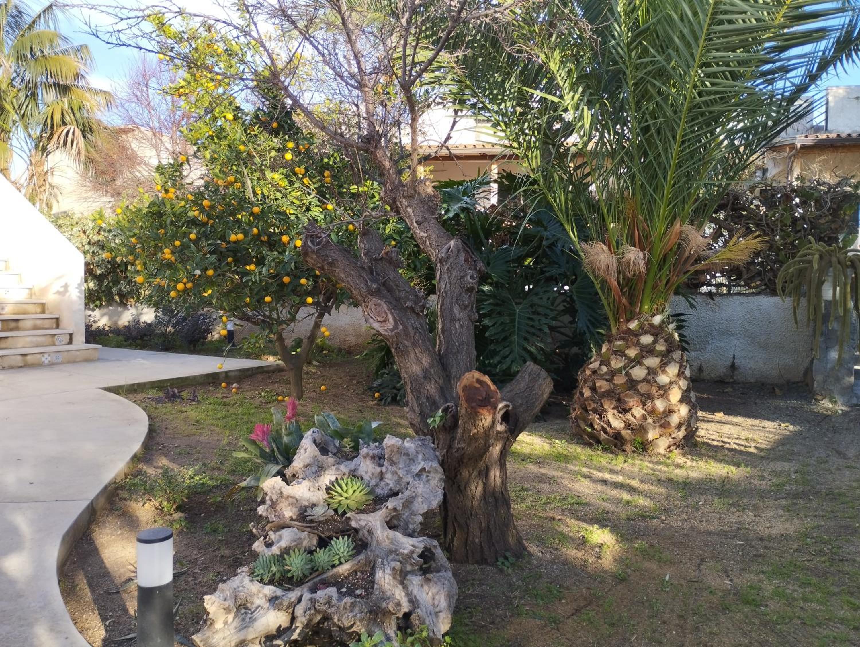 Photo 15