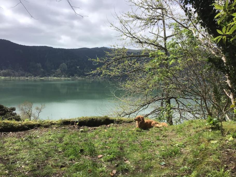 Furnas Lake Cottage