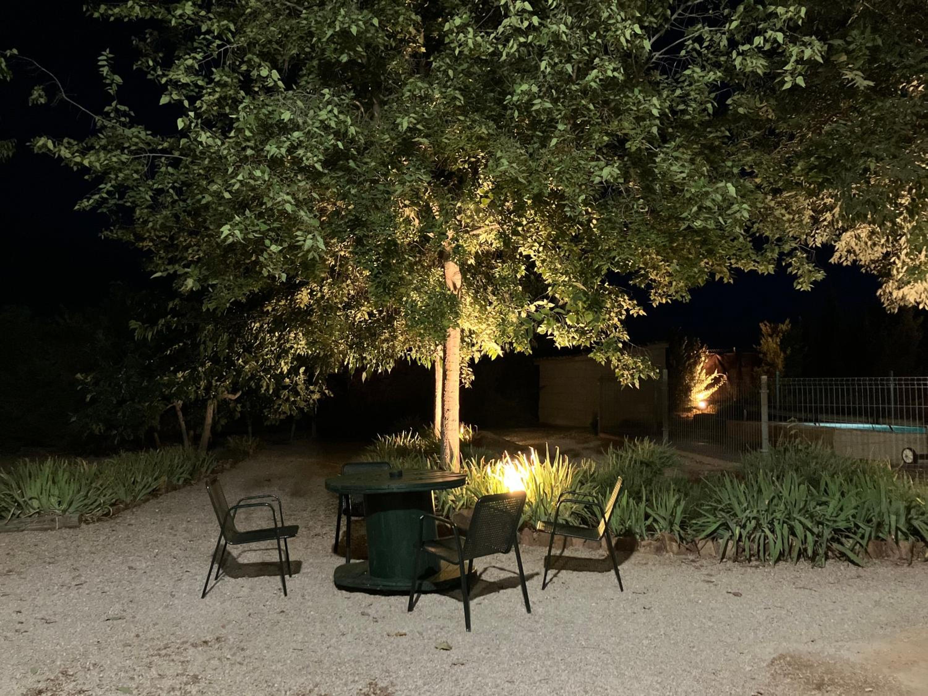 Photo 19