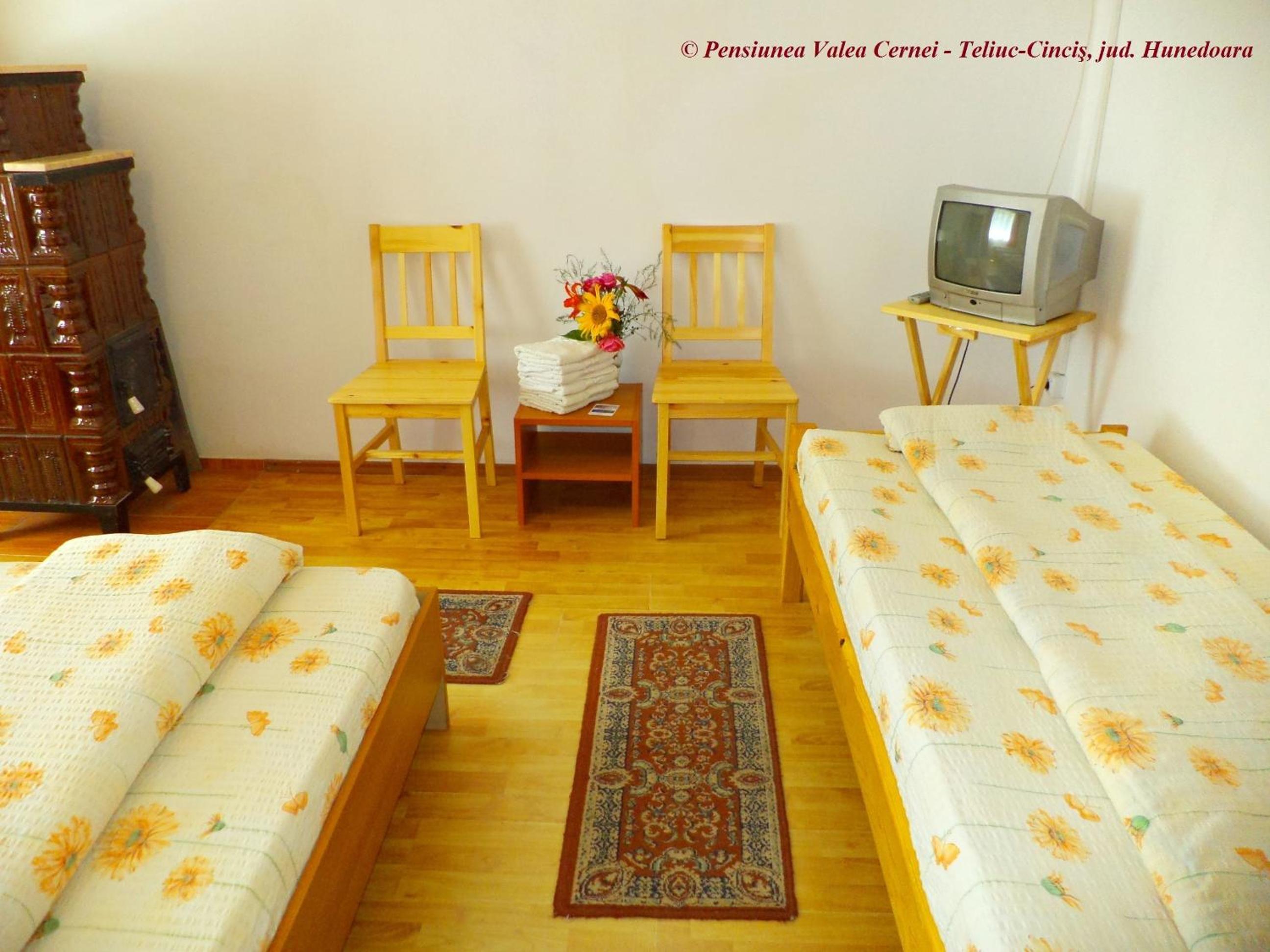 Pensiunea Valea Cernei view 2