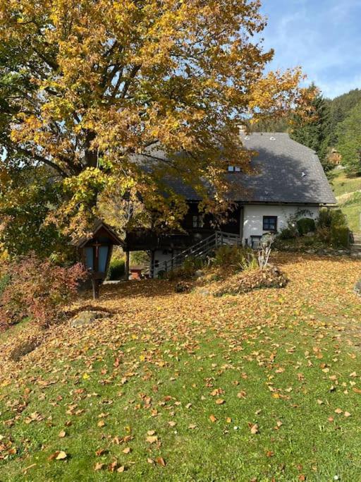 Ferienhaus Almzeit Koralpe