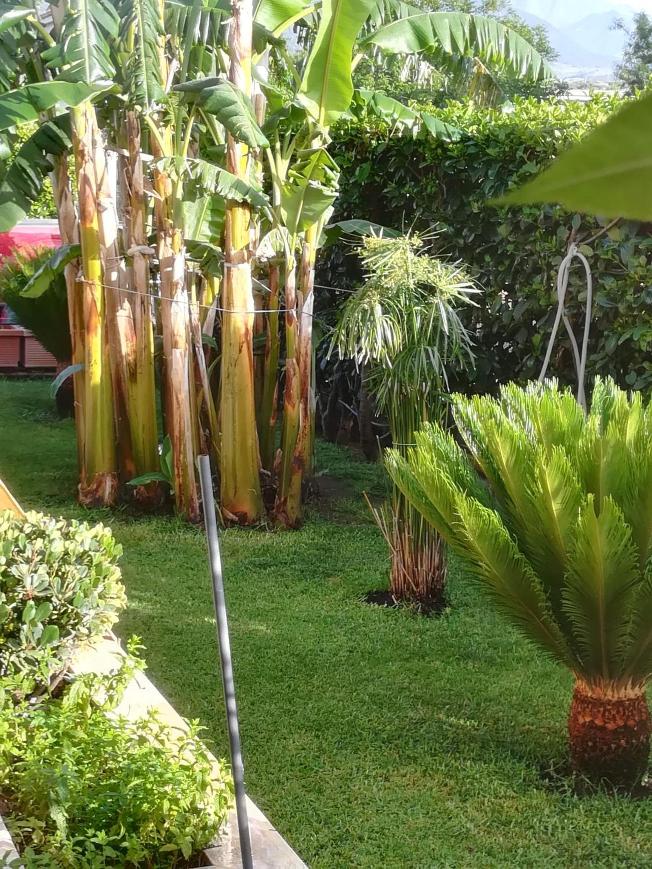 Villa Mimmo photo 5