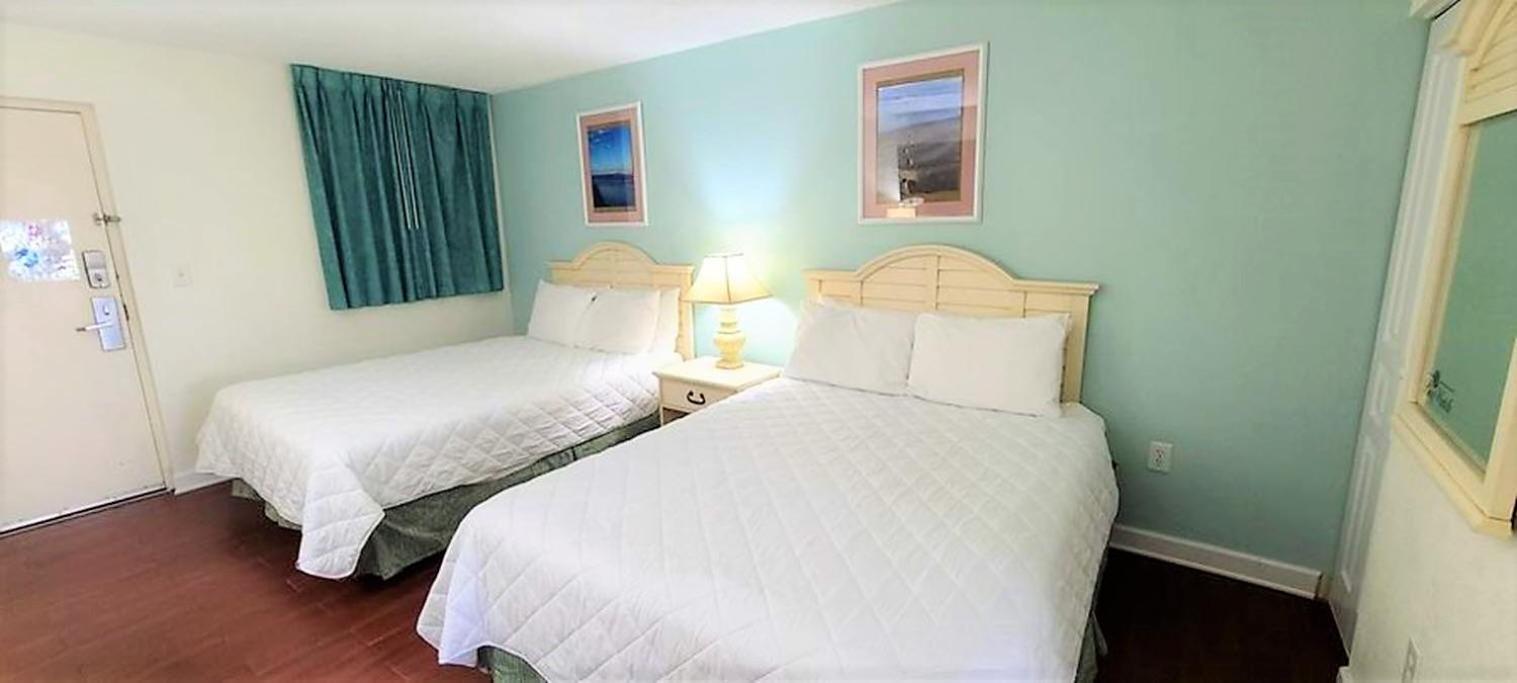 Bay Watch III 10th Floor OCEANFRONT 1bed/1bath Sleeps 8 view 5