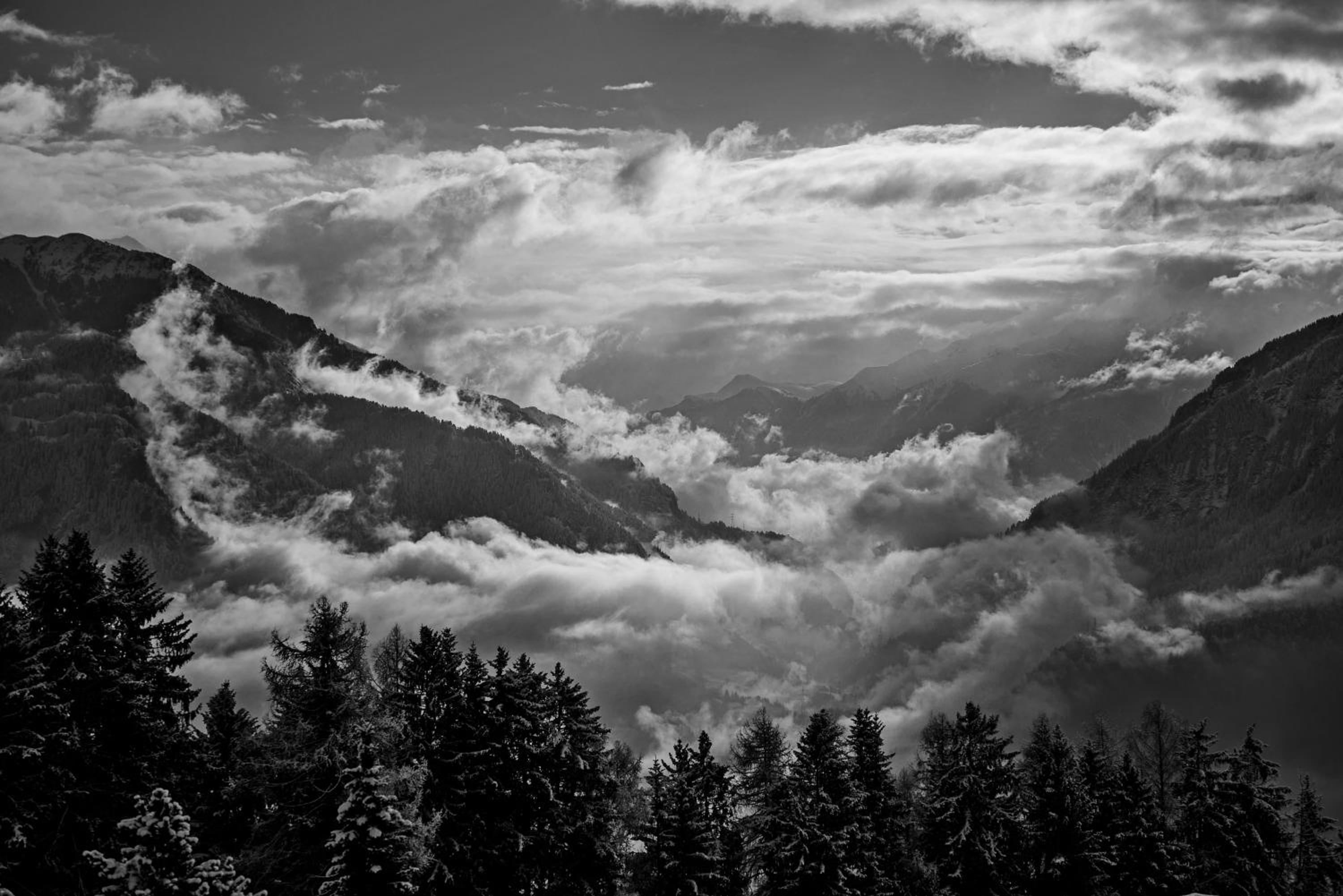 Lescha C2C view 3