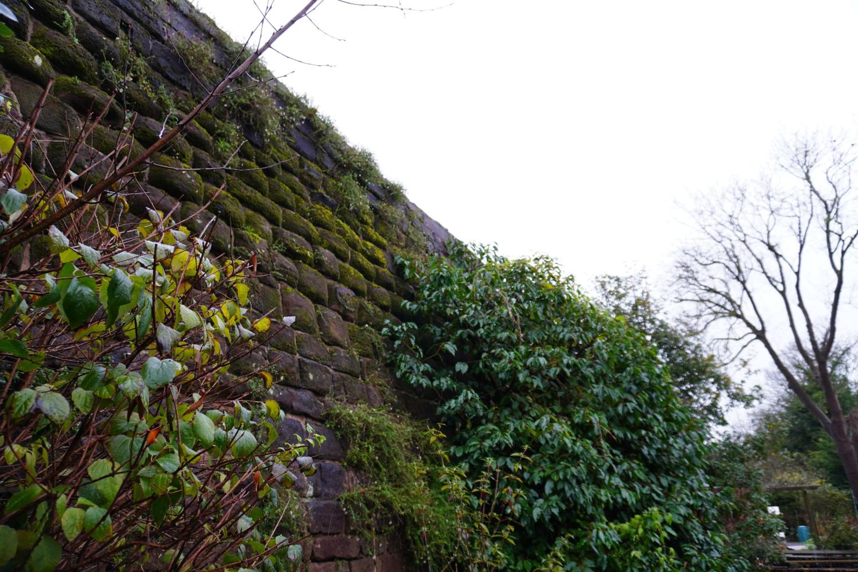 Photo 43