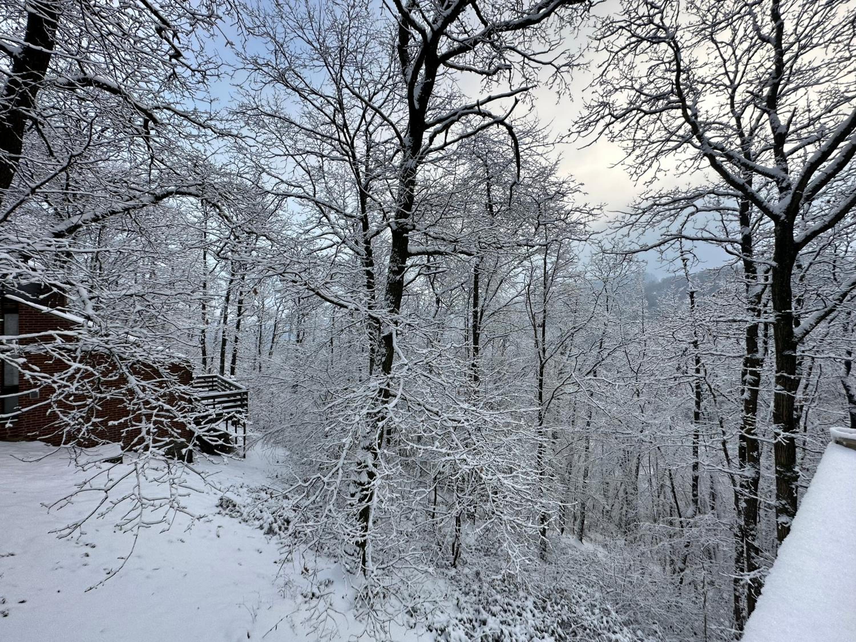 Wood House view 2