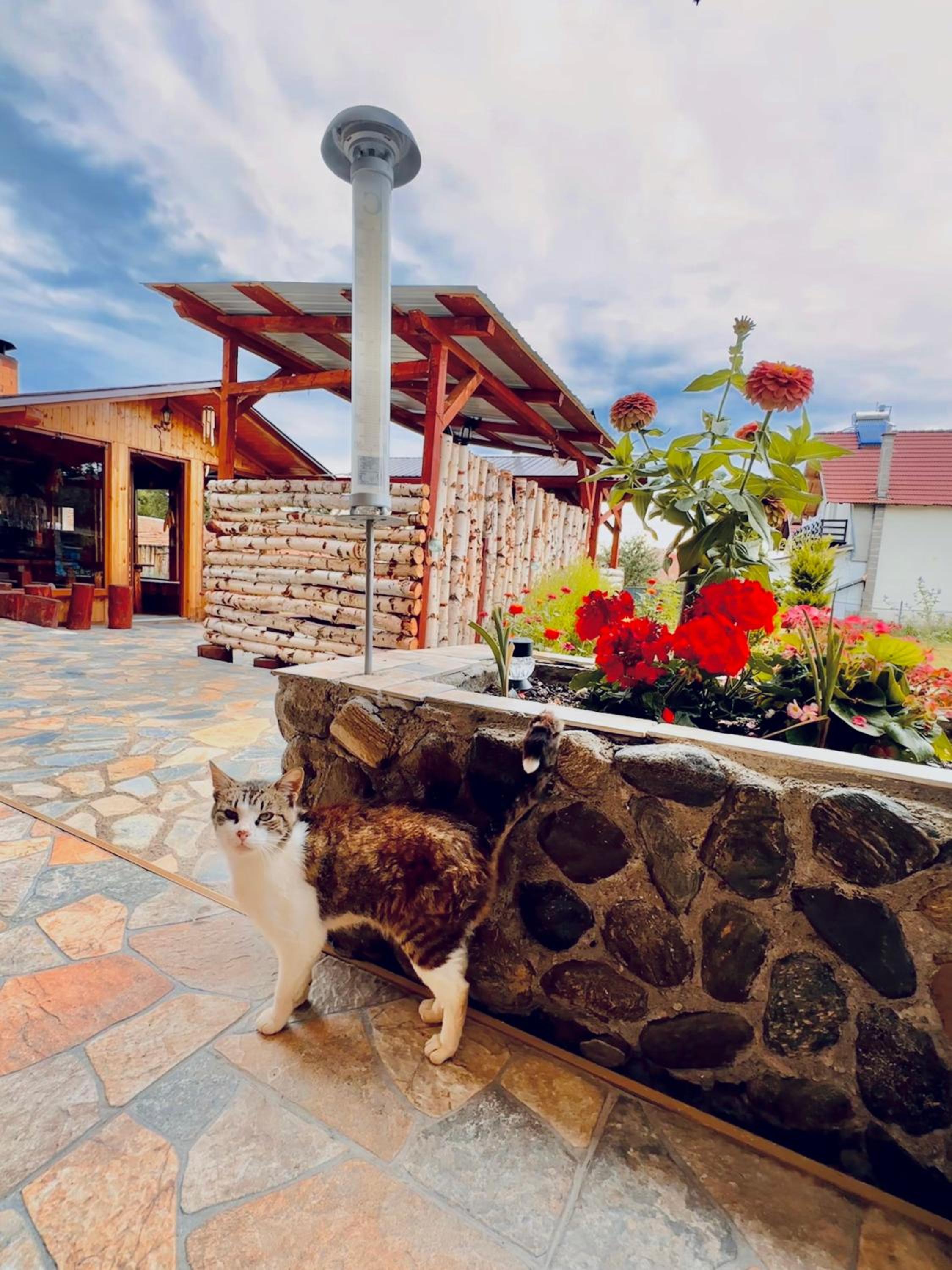 Casa Andreas view 2