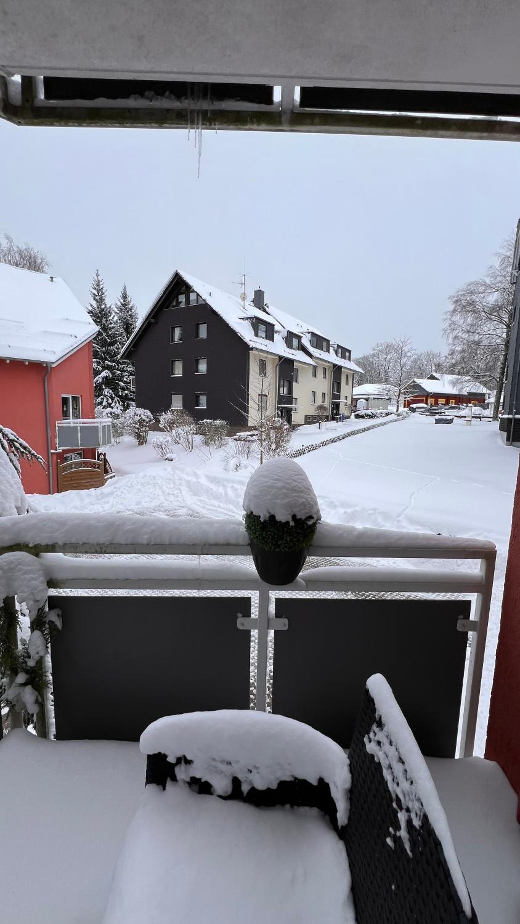 Harz-Rose