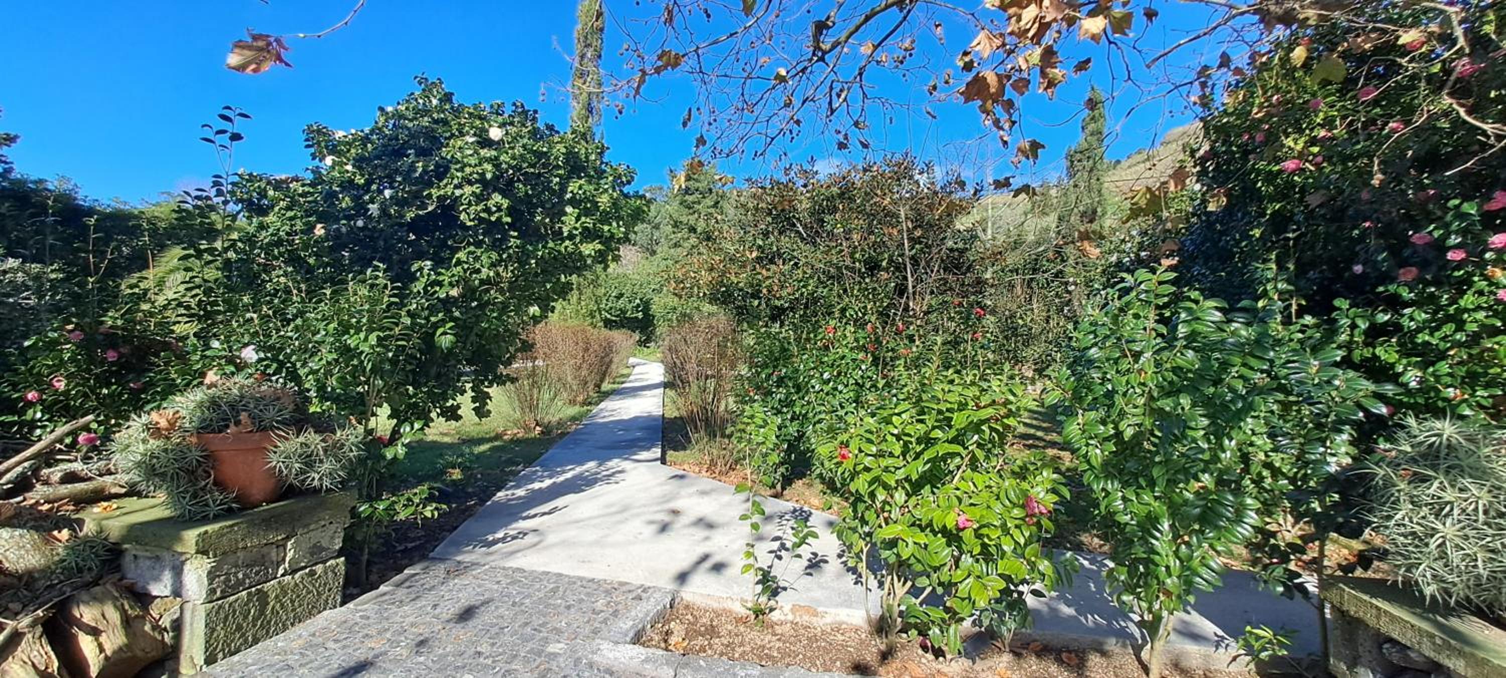 Carmo Country Villas