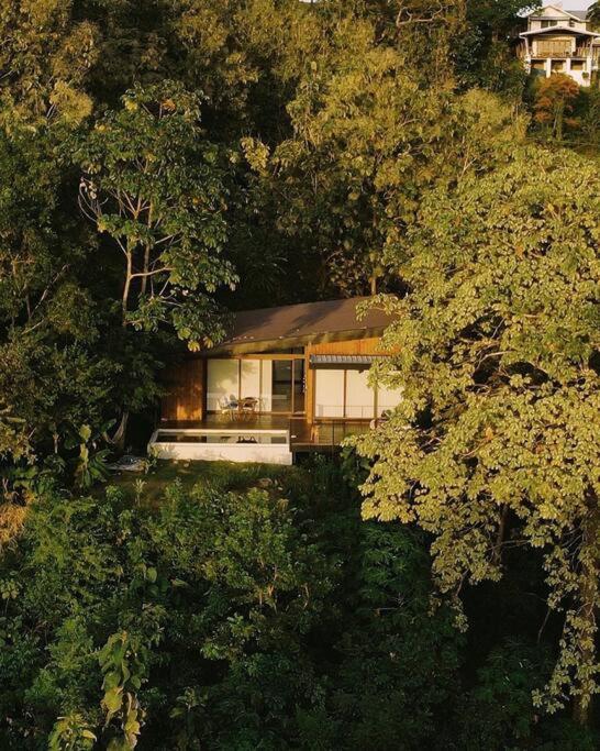 Casa Samambaia - sea view tropical paradise w' pool