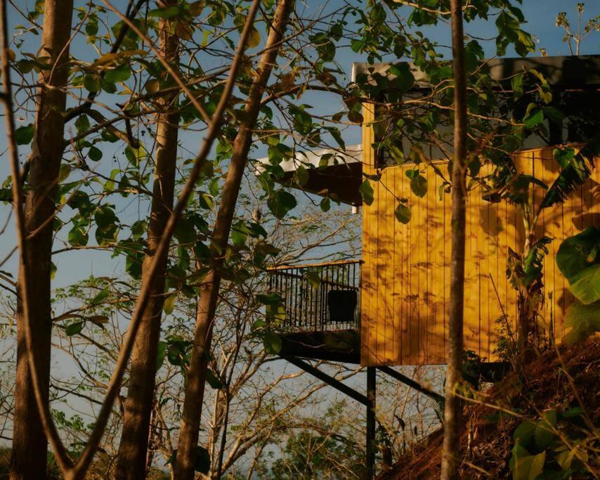 Casa Samambaia - sea view tropical paradise w' pool