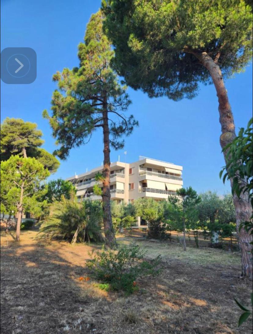Zouberi Twins Luxury Appartements (North) view 5