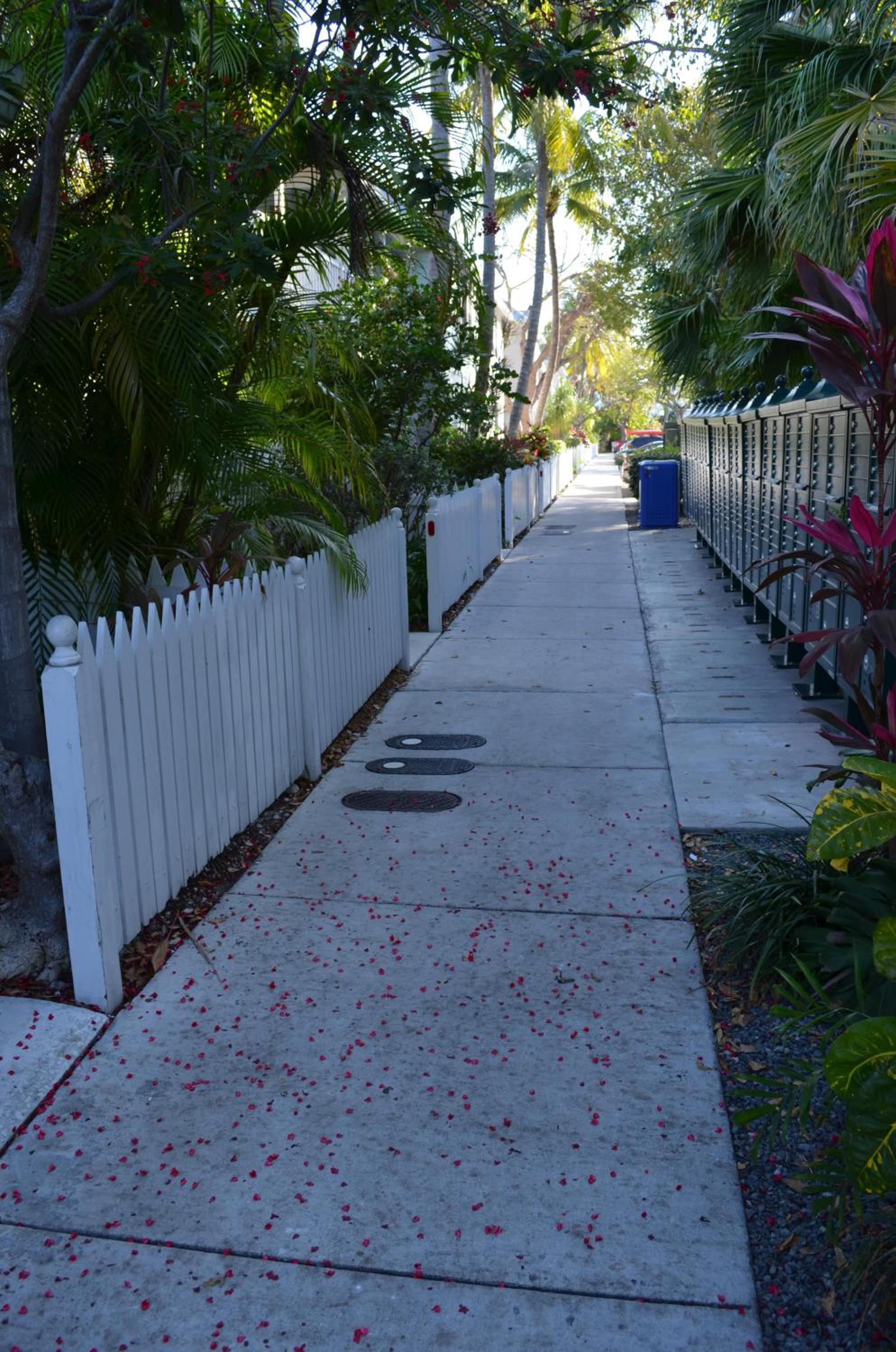 Photo 49