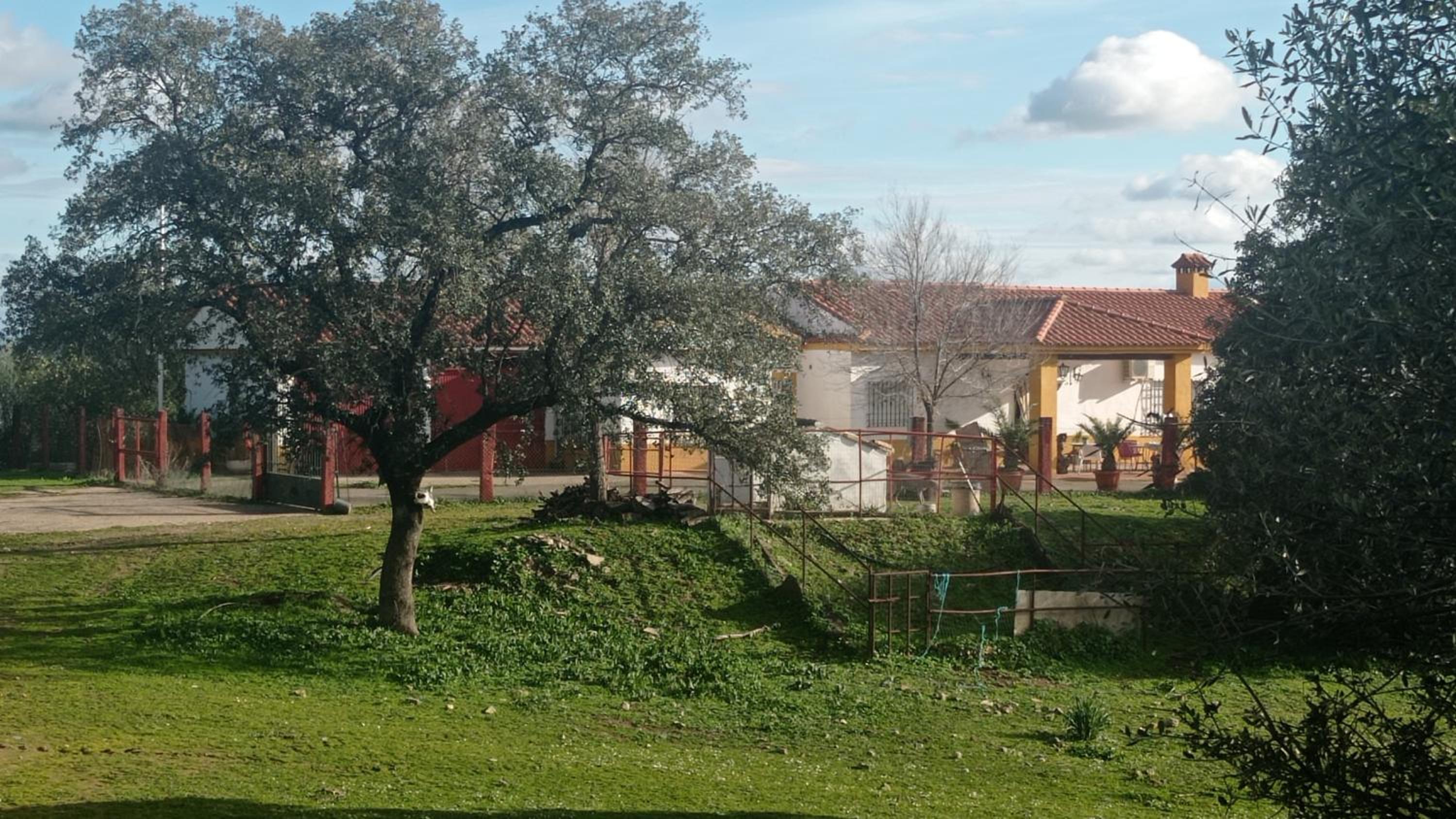 La Cabaña de la Cigarra view 2