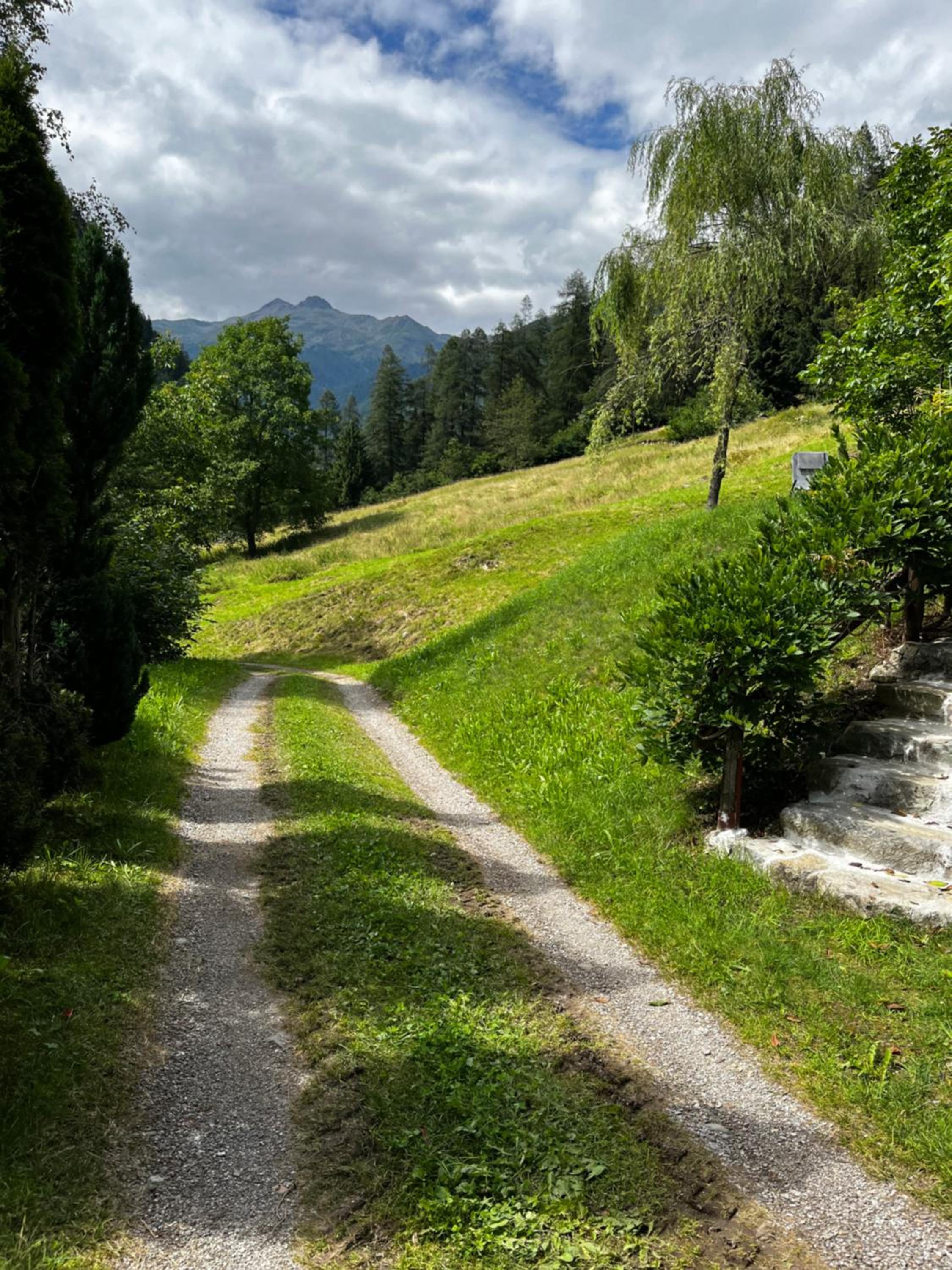 Photo 29