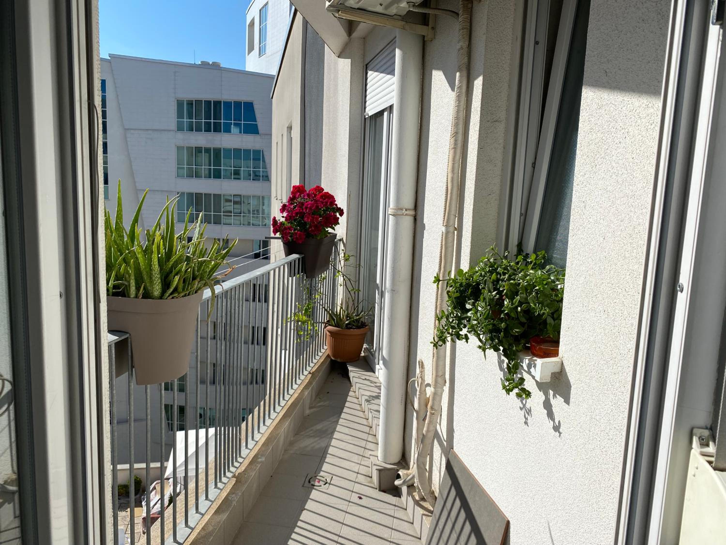 Pandora’s City Apartment
