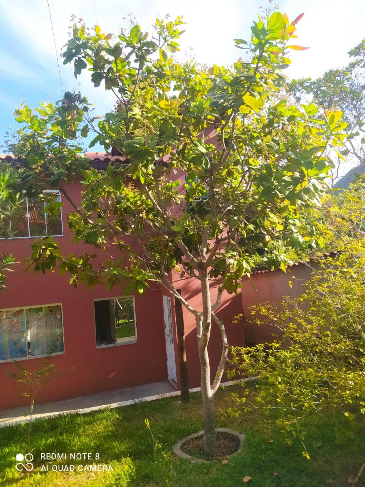 Bangalôs Cavalcante