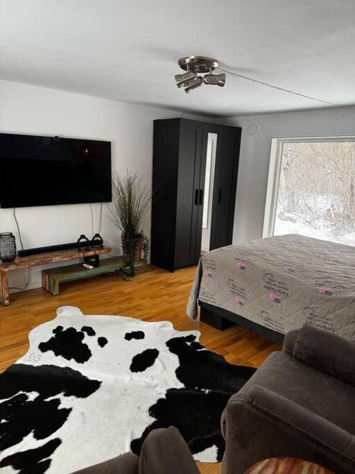 Mysigt hus på 40 kvm i Målaskog view 5