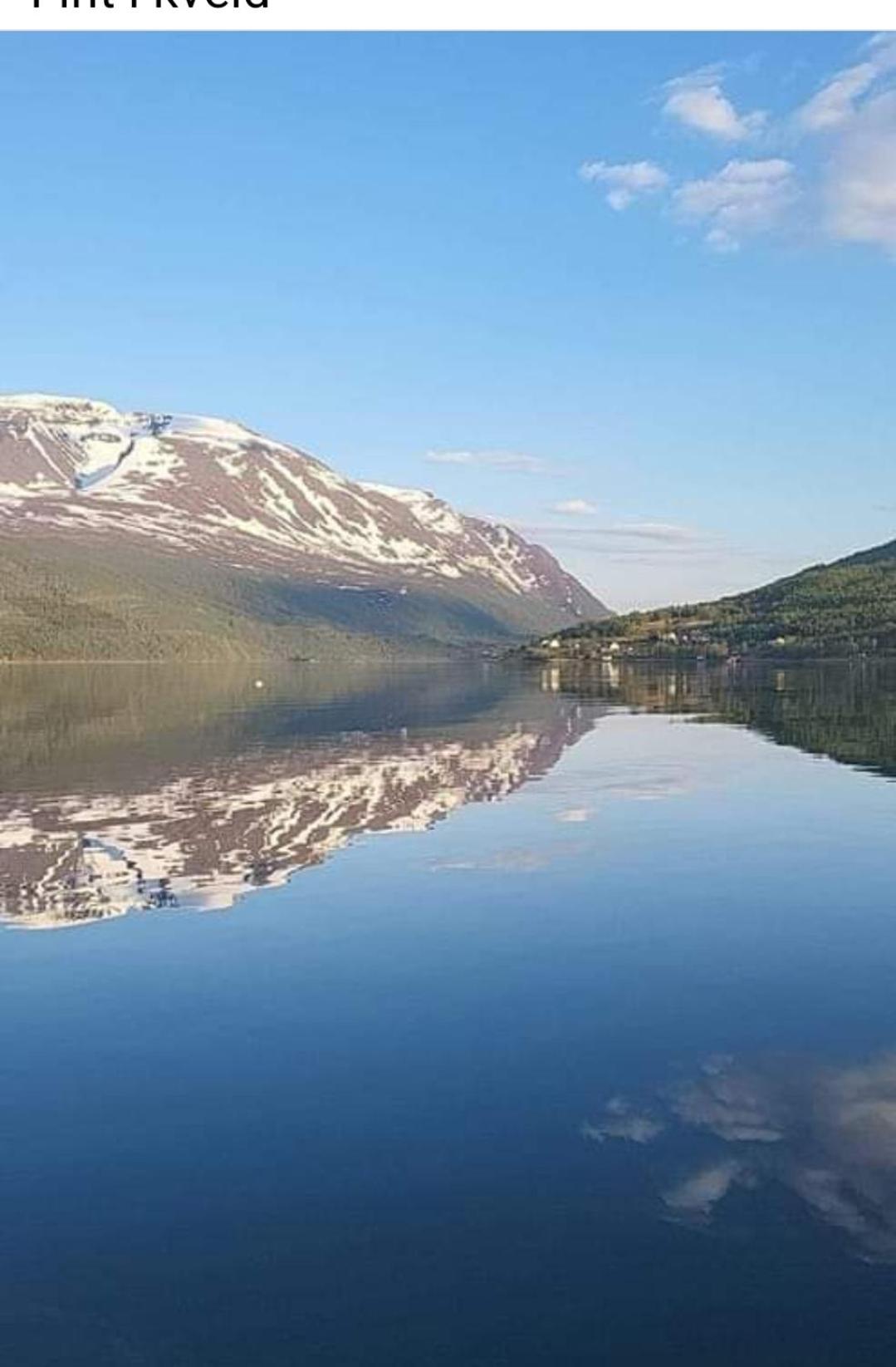 Arctic Sealodge Malangen cabin 4 Sæterbergan view 3