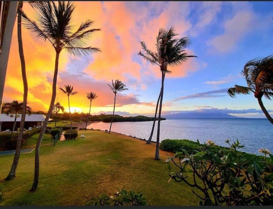 Molokai Vacations - Oceanfront true 2 bedroom w/lanai on Molokai - Property Image 1