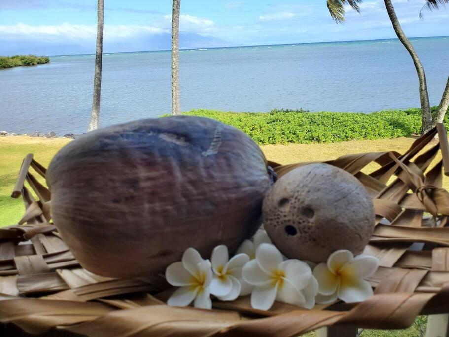 Molokai Vacations - Oceanfront true 2 bedroom w/lanai on Molokai - Property Image 2