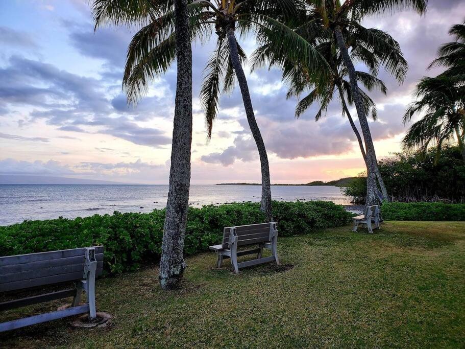 Molokai Vacations - Oceanfront true 2 bedroom w/lanai on Molokai - Property Image 5