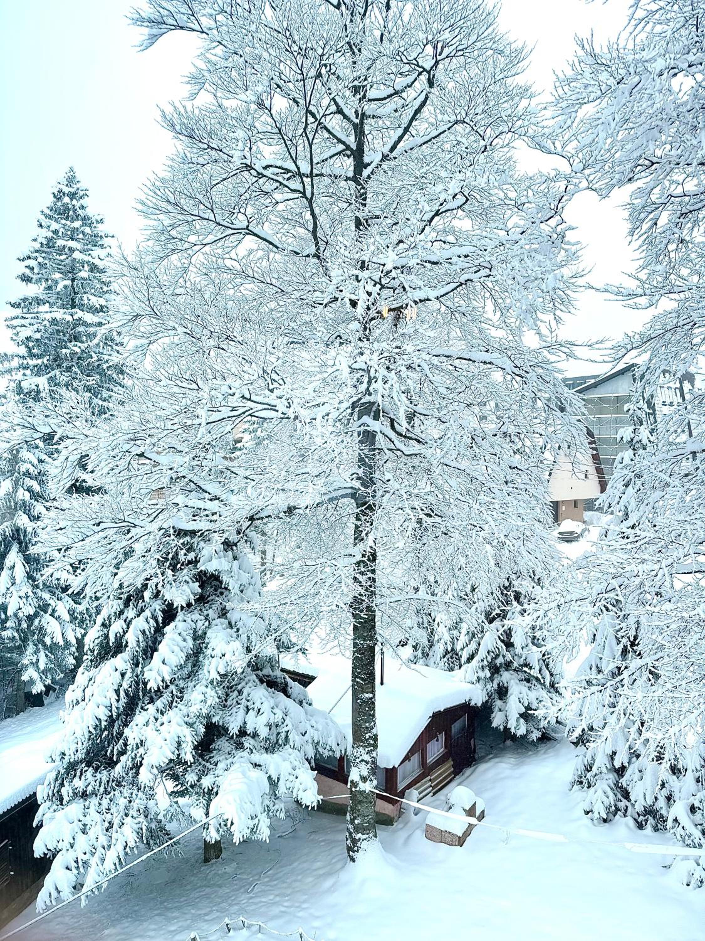 Apartmani Obućina Kapije Jahorina