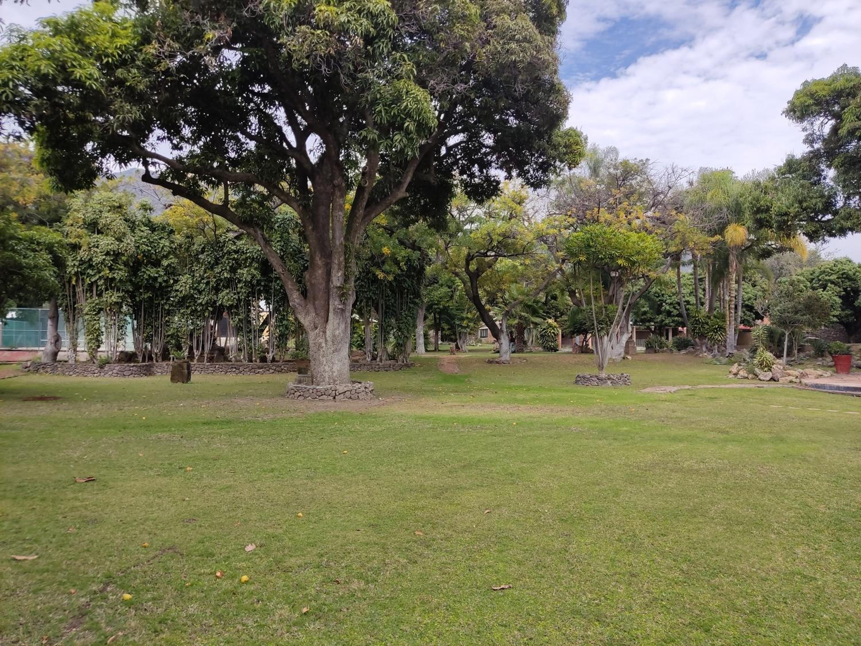 Photo 45