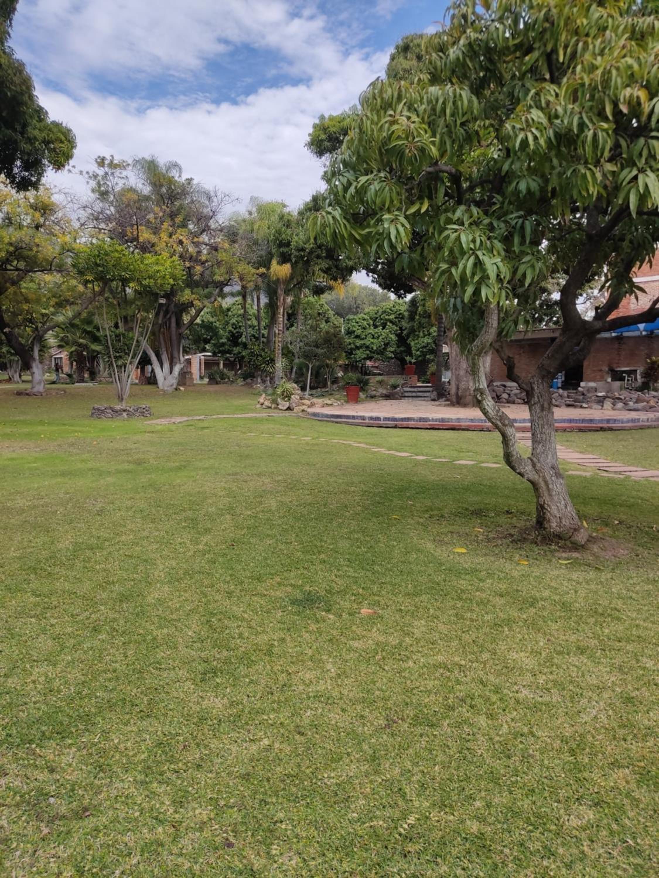 Photo 44