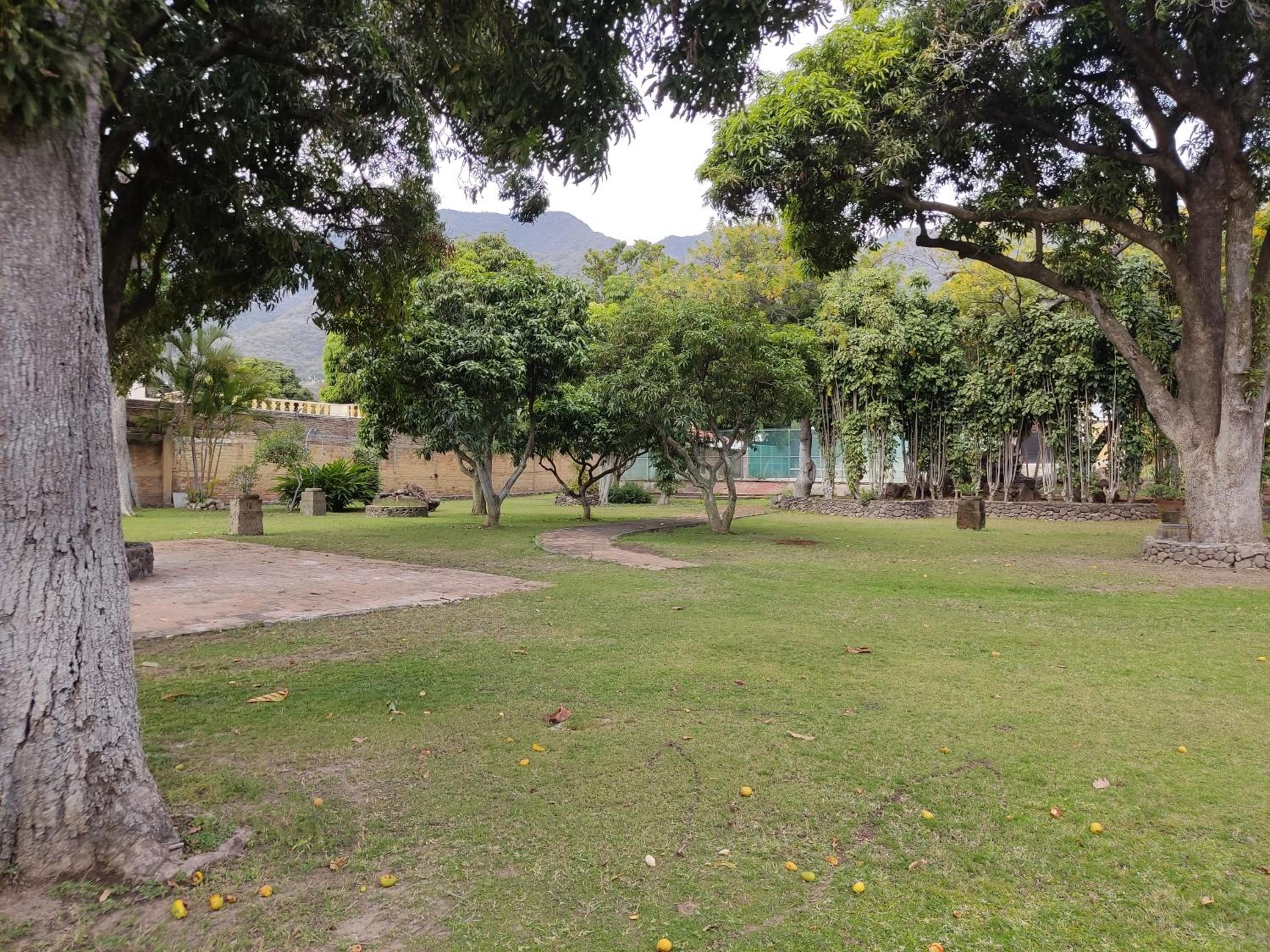 Photo 42