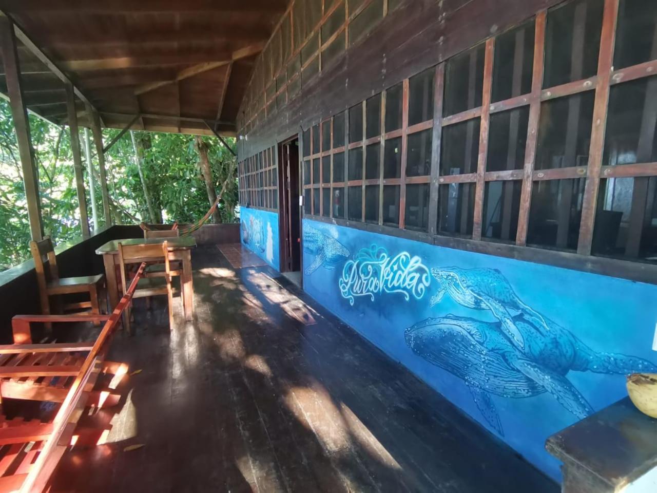 Pirate Drake Beach Camp & Tour company